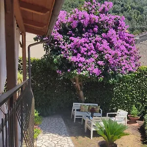 La Bouganville E Il Gelsomino Appartamento